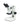 Stereo Microscope
